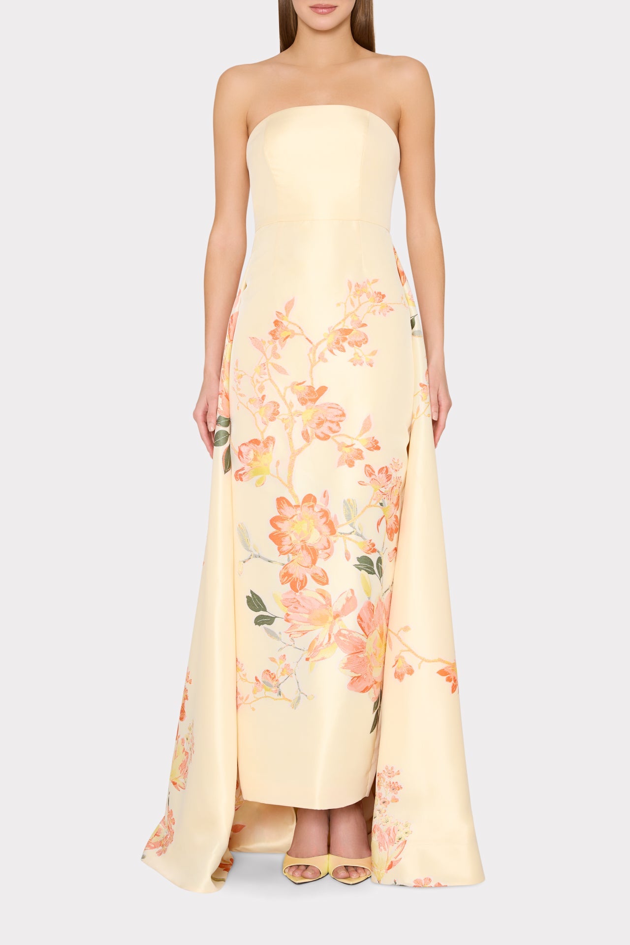Dorothy Printed Taffeta Dress