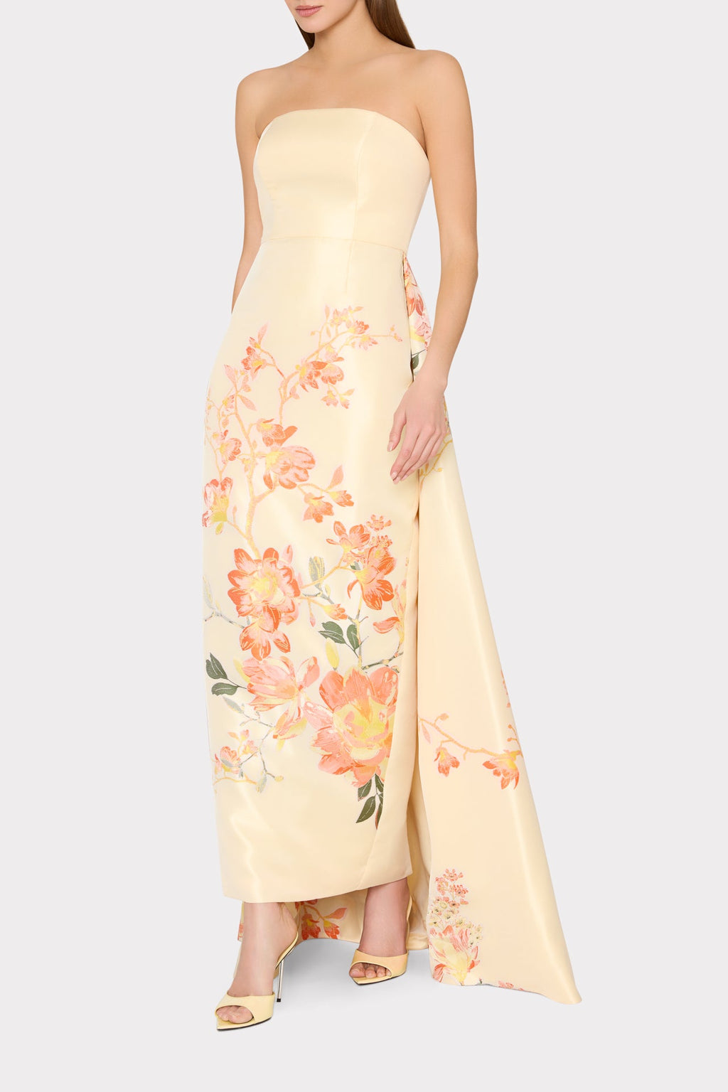 Dorothy Printed Taffeta Dress