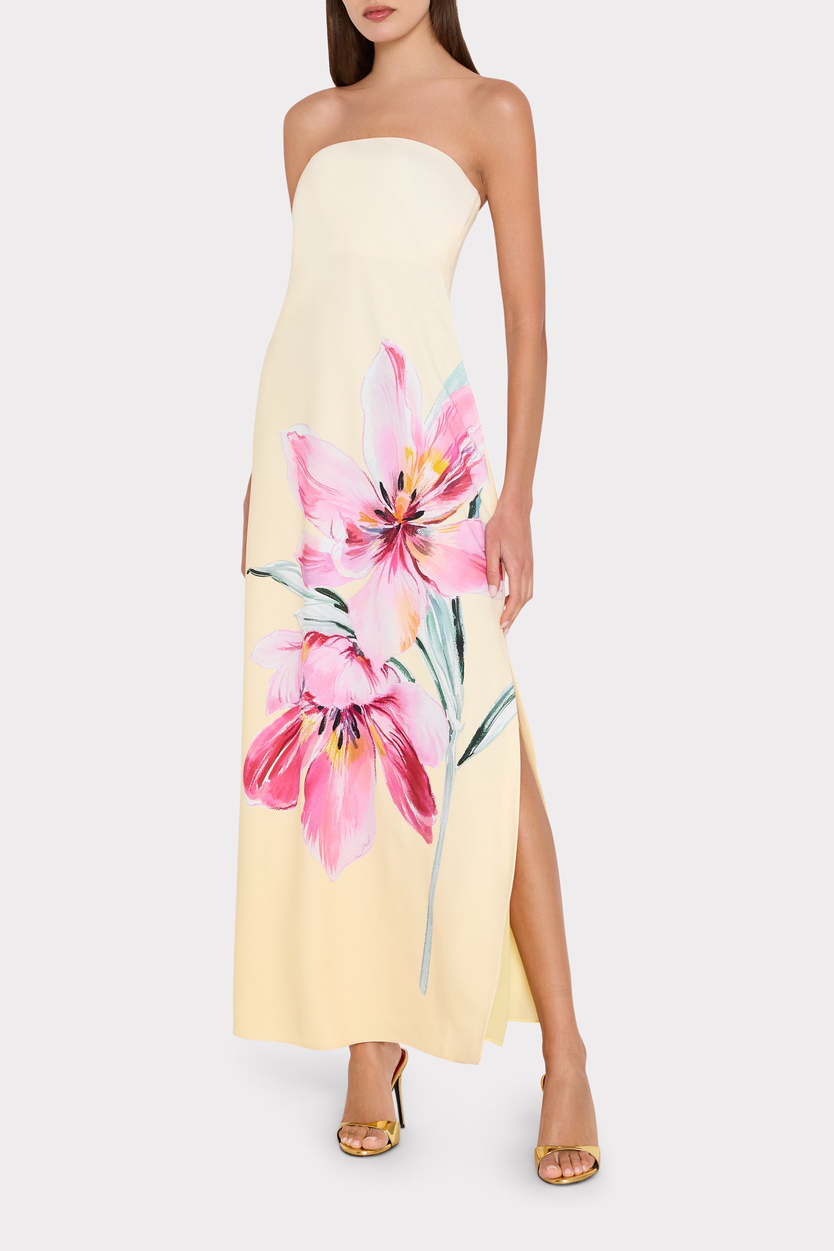 Vera Printed Maxi Dress