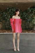 Baret Sleeved Mini Dress