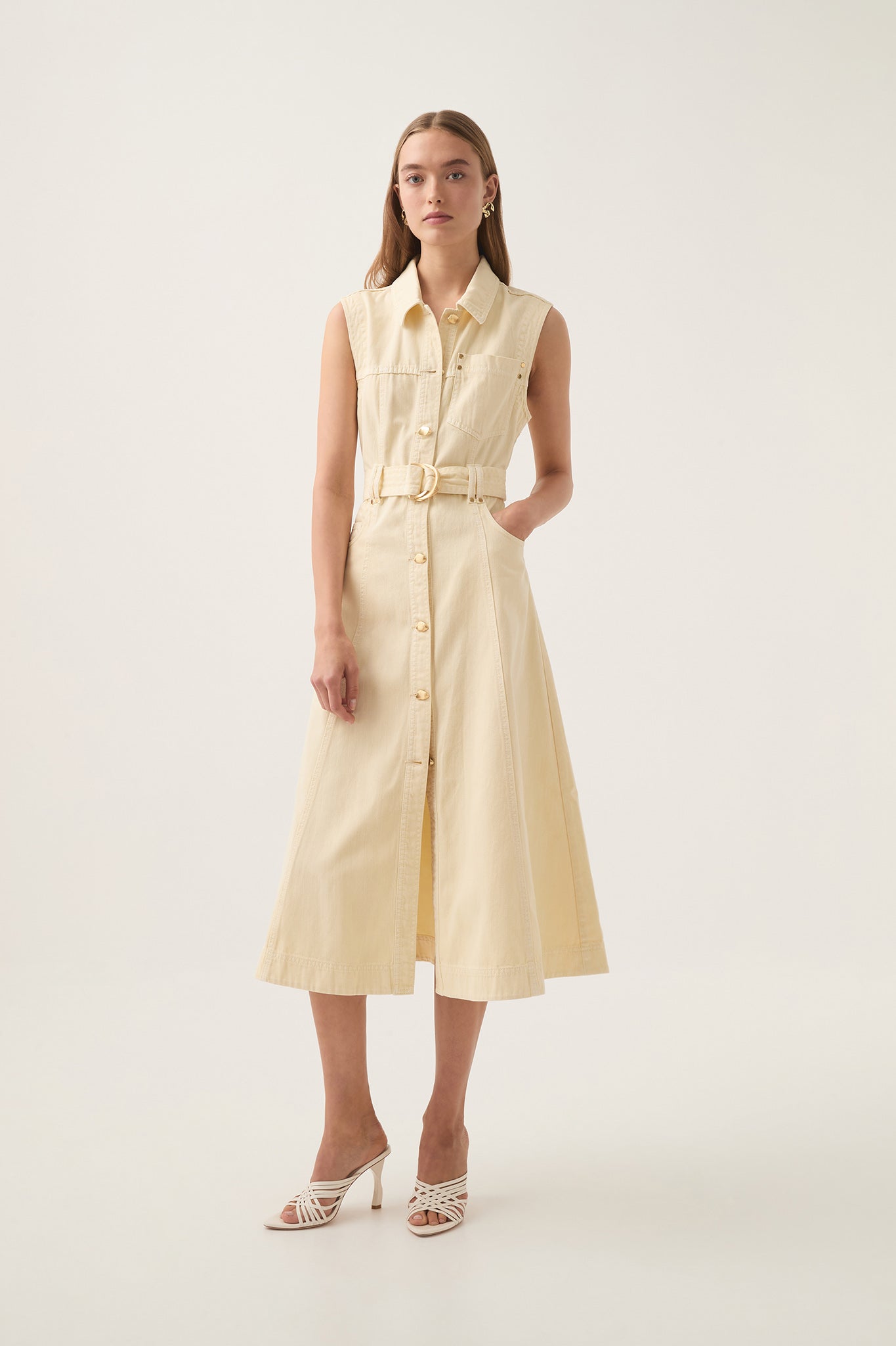 Ray Denim Midi Dress