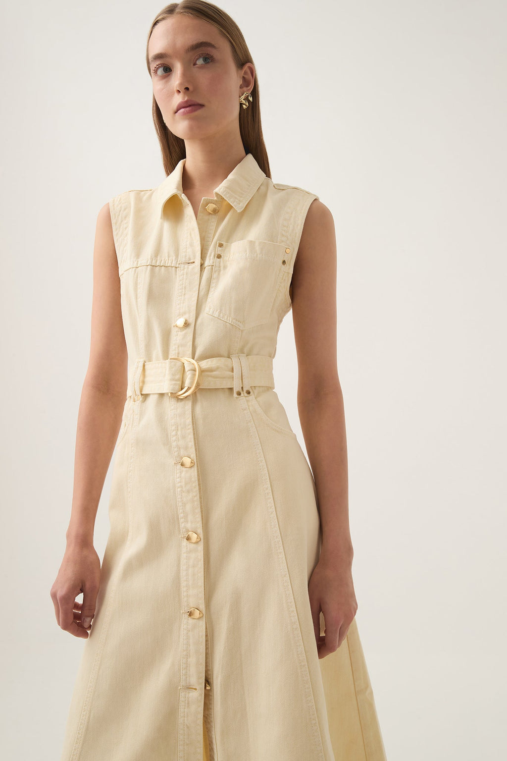 Ray Denim Midi Dress