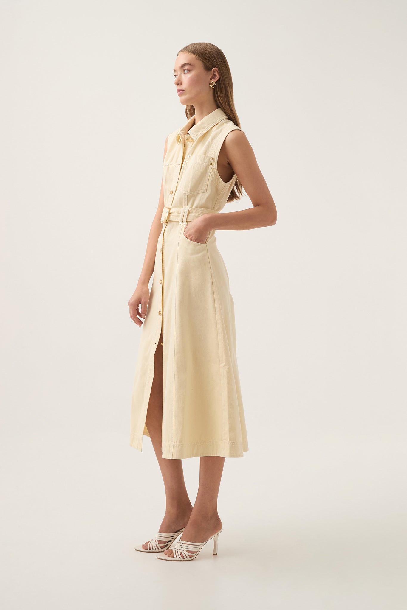 Ray Denim Midi Dress
