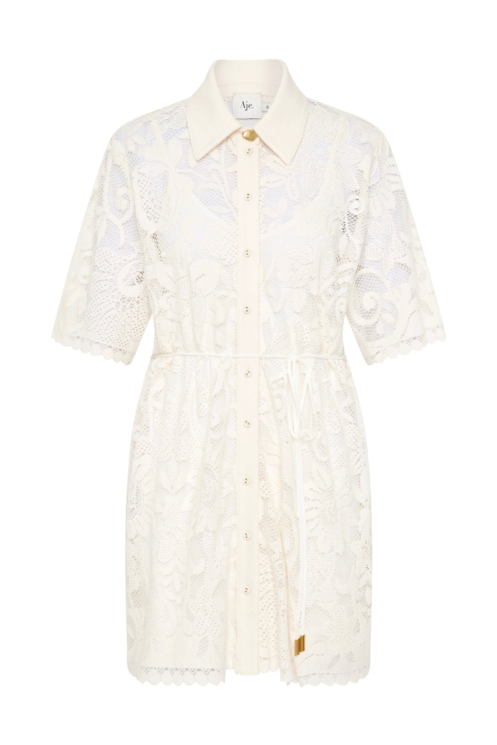 Muses Lace Mini Dress