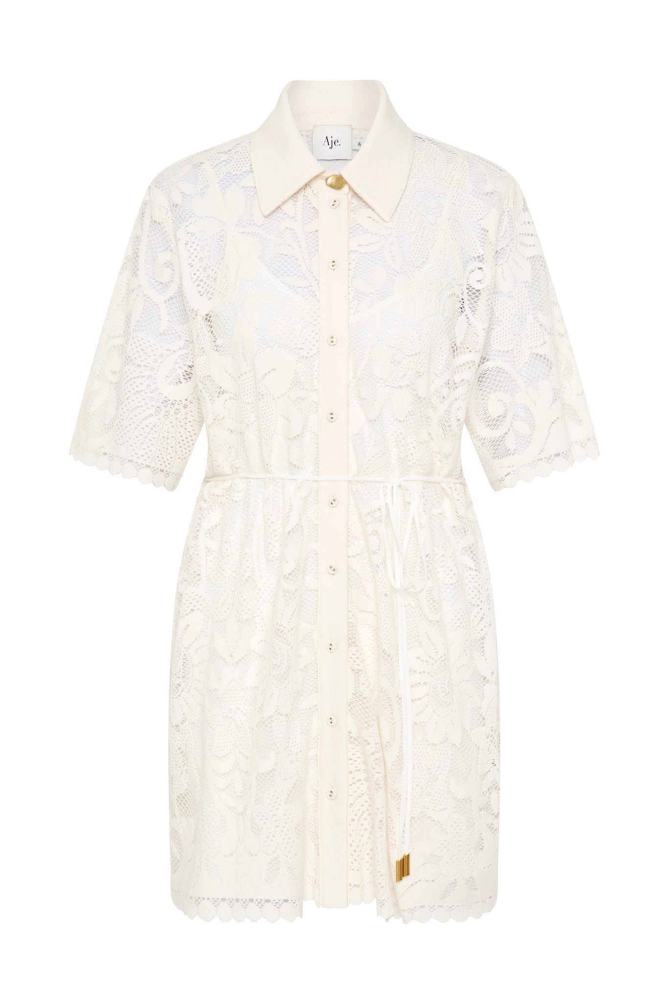 Muses Lace Mini Dress