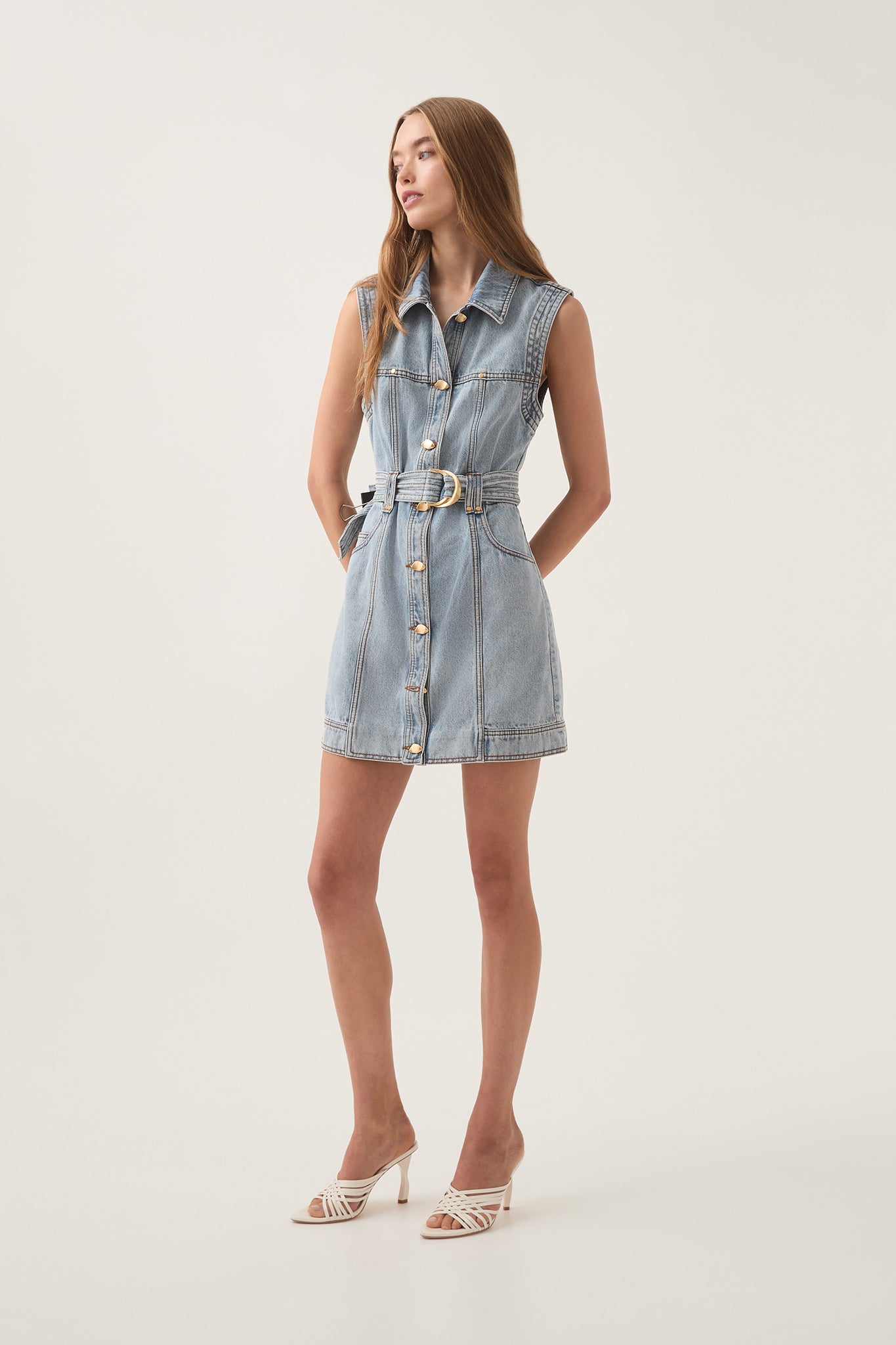 Ray Denim Mini Dress