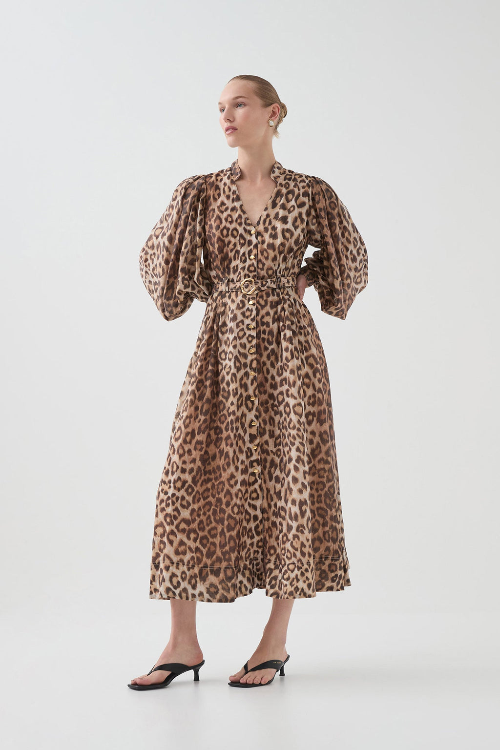 Isabella Shirtdress