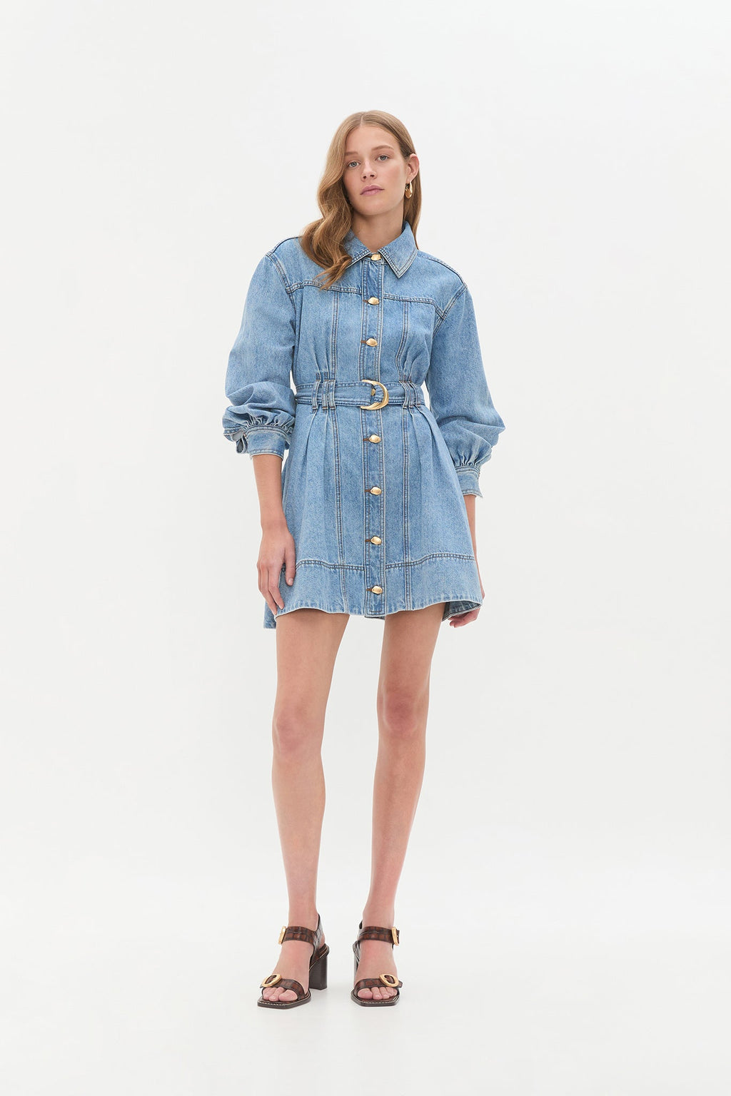Lane Denim Mini Dress