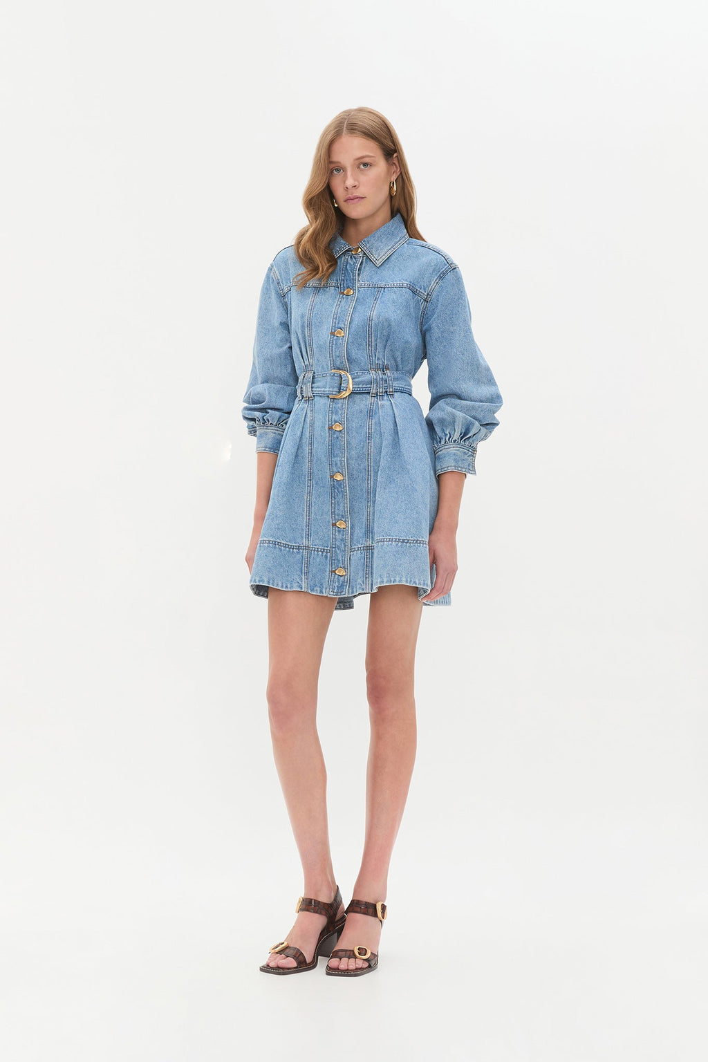 Lane Denim Mini Dress