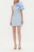 Florence Mini Dress