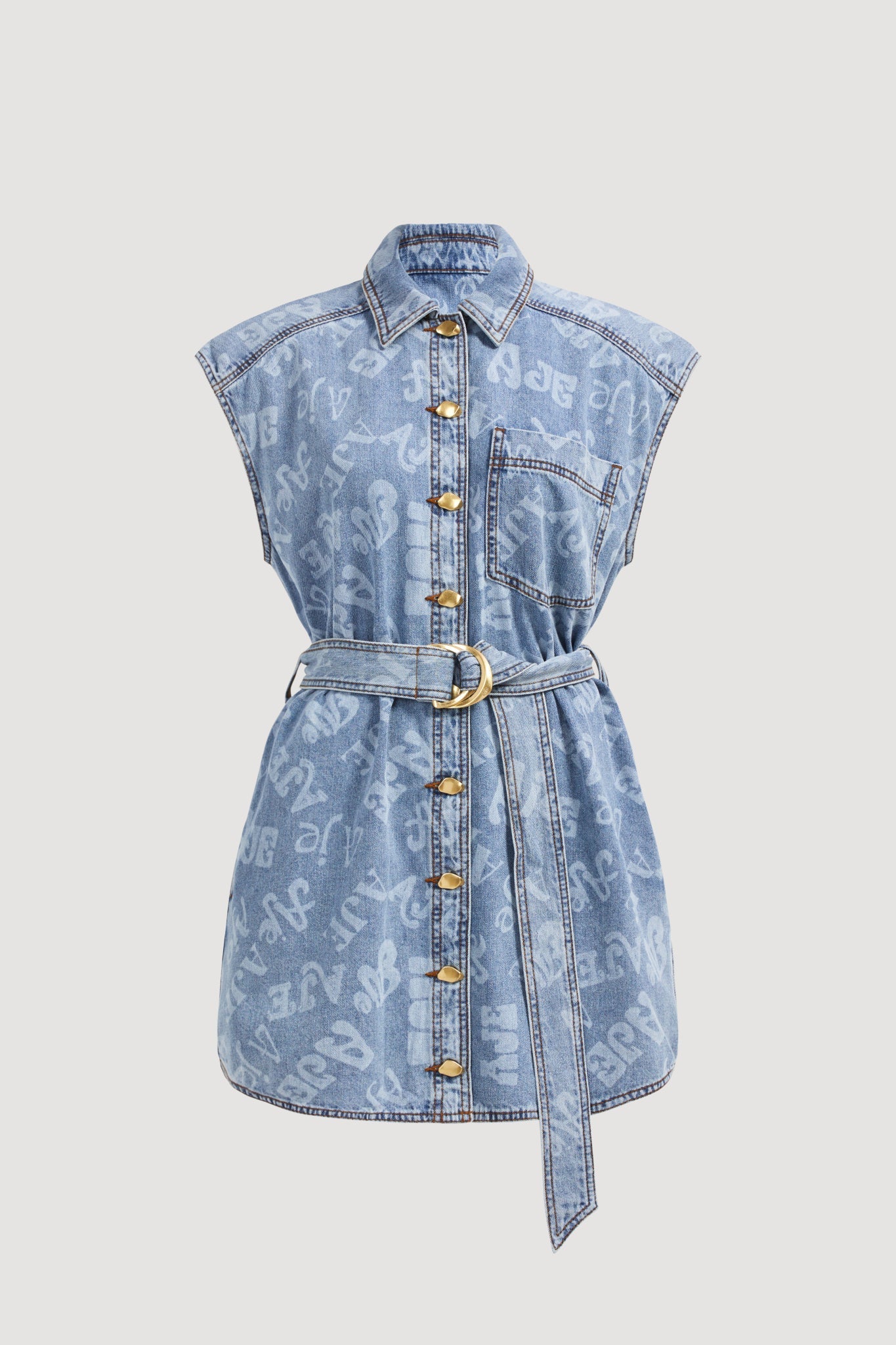 Cary Denim Mini Dress