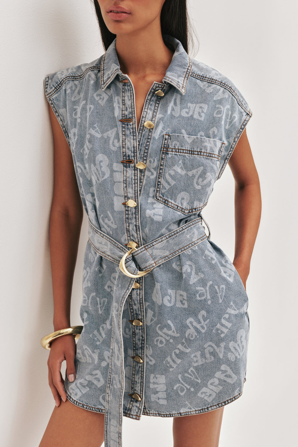 Cary Denim Mini Dress