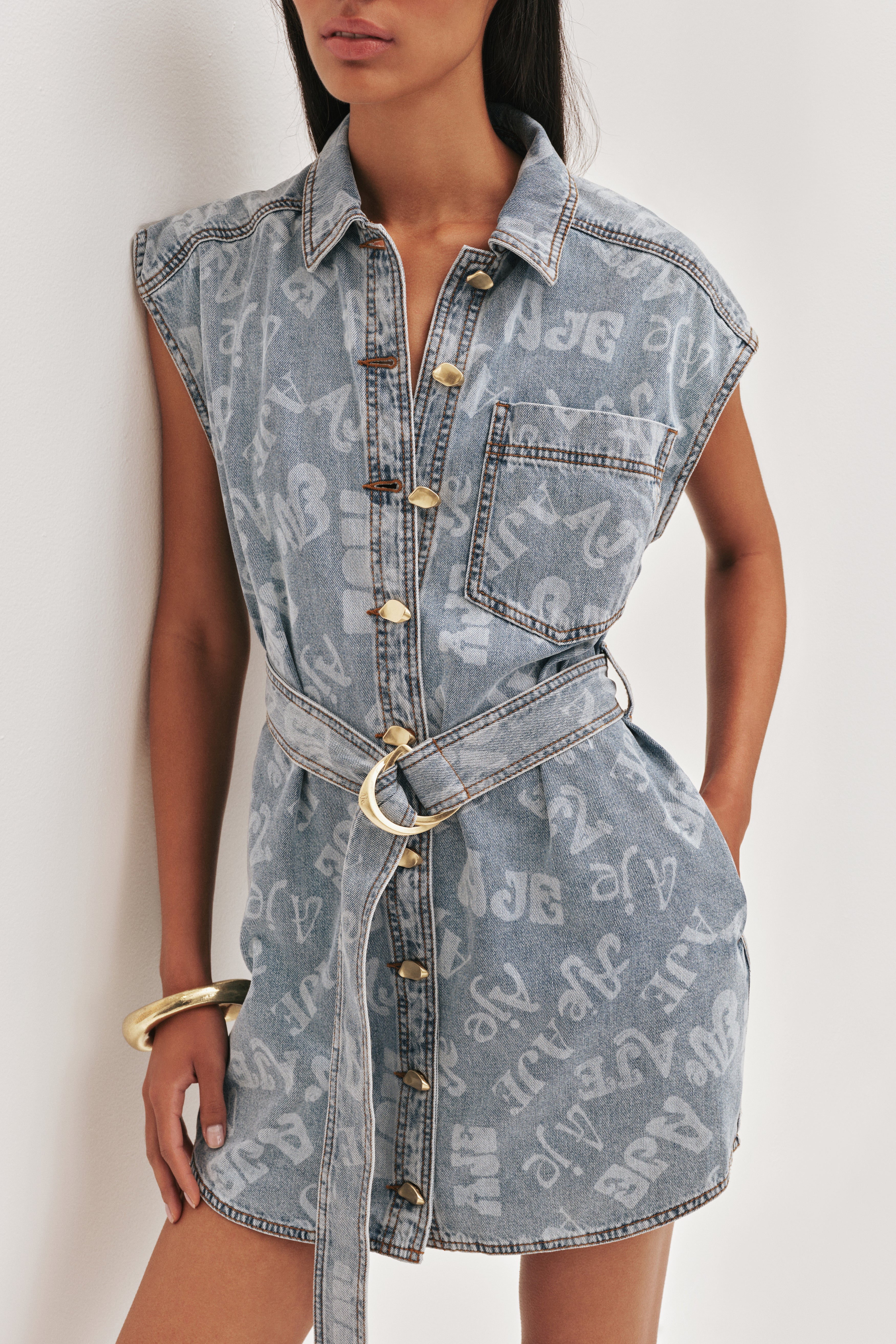 Cary Denim Mini Dress