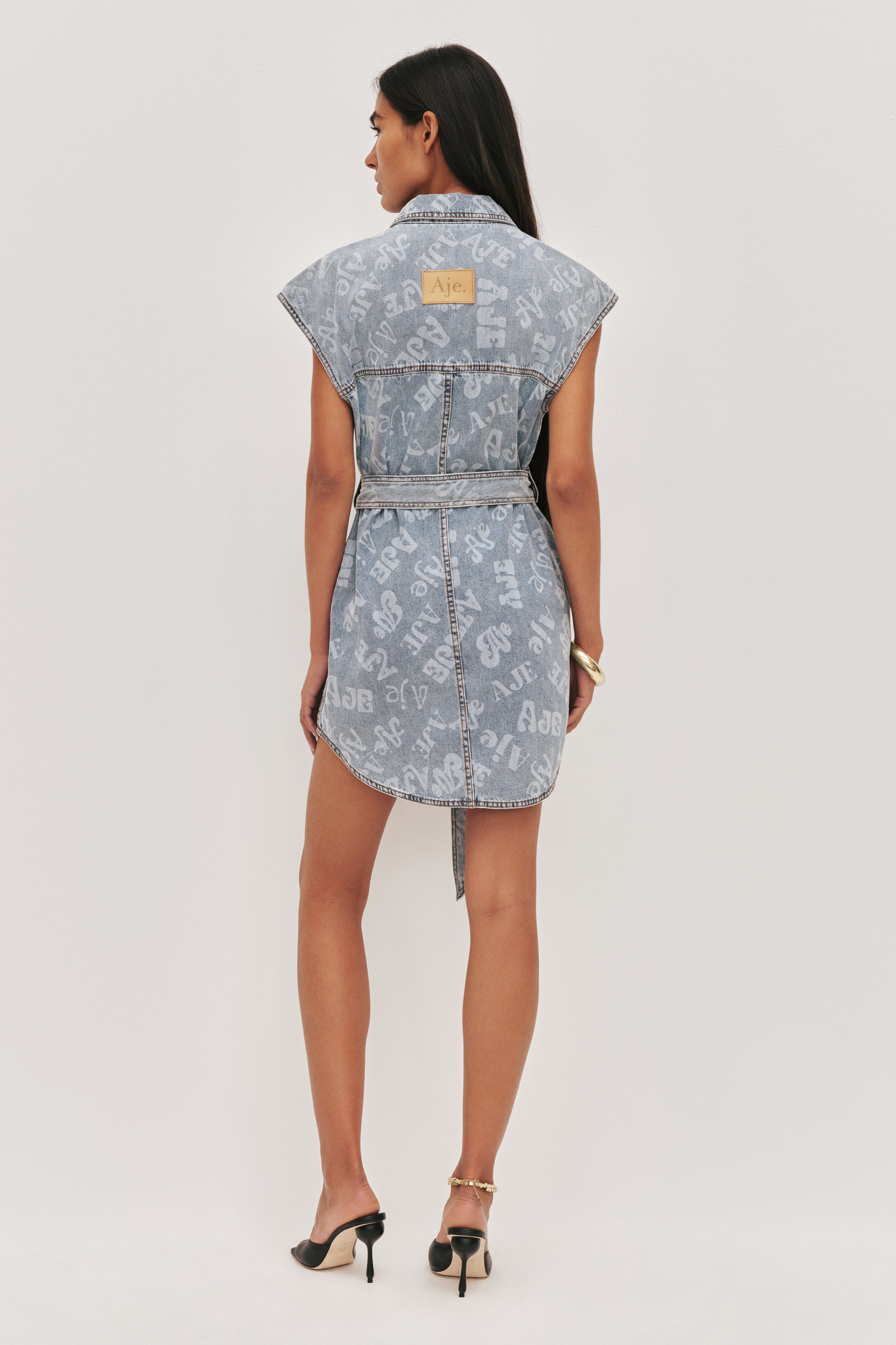 Cary Denim Mini Dress