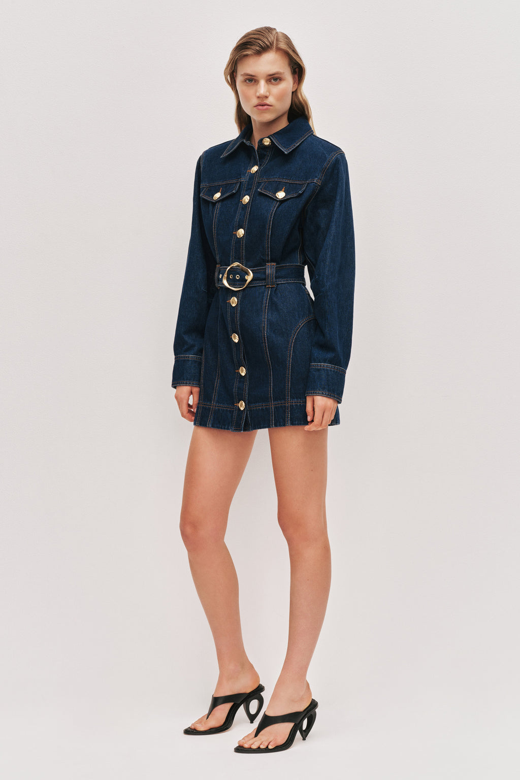 Elodi Denim Mini Dress