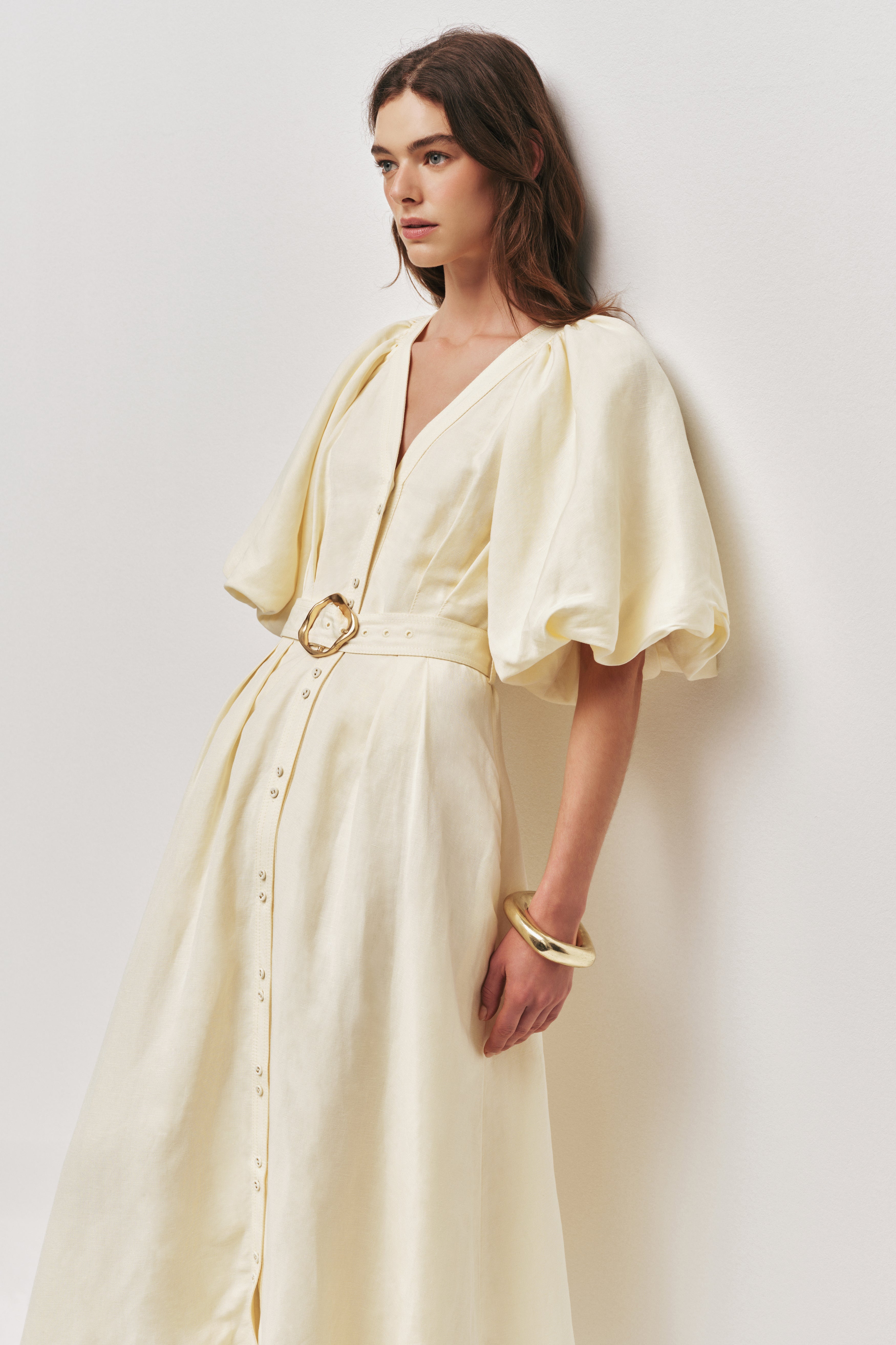 Portrait Midi Dress
