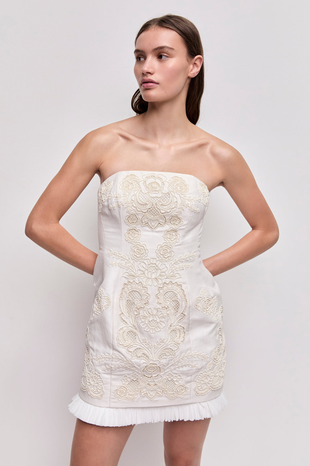 Perilla Embroidered Mini Dress