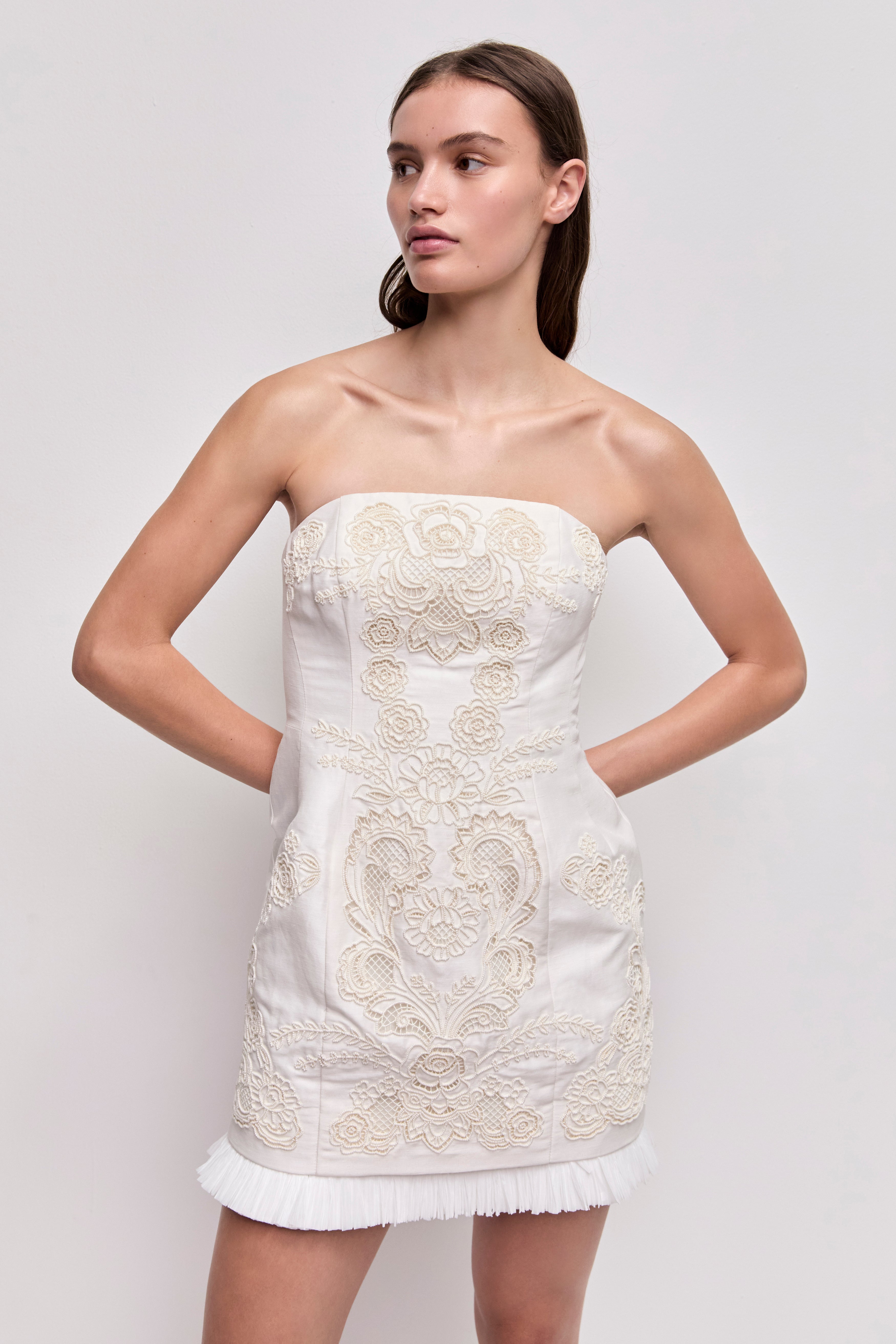 Perilla Embroidered Mini Dress