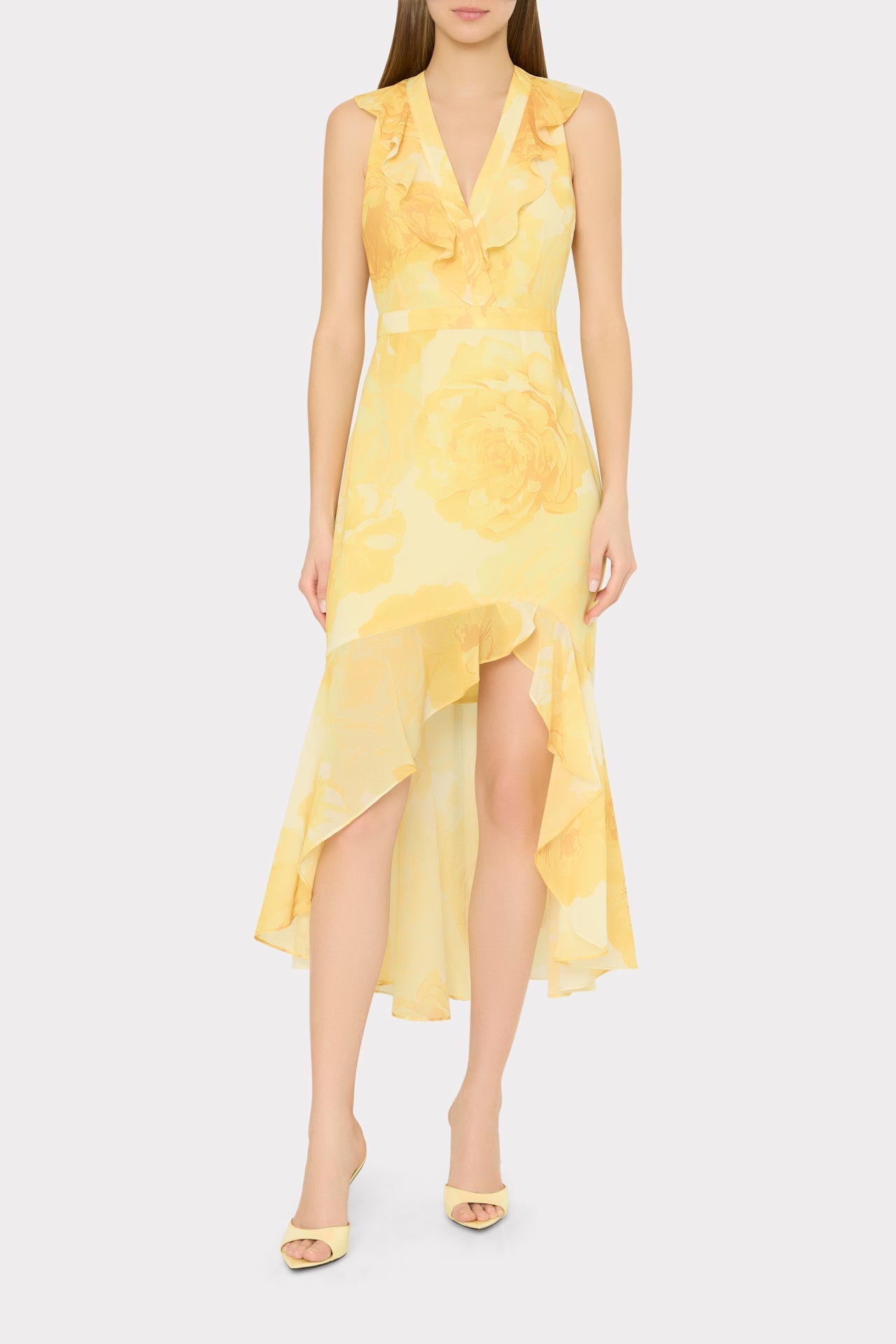 Nanci Printed Midi Dress
