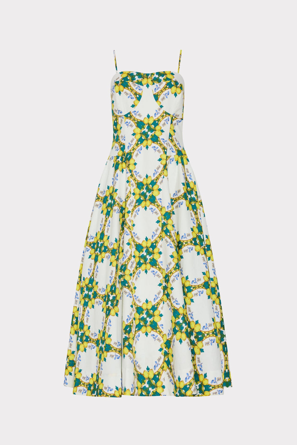 Livna Printed Maxi Dress