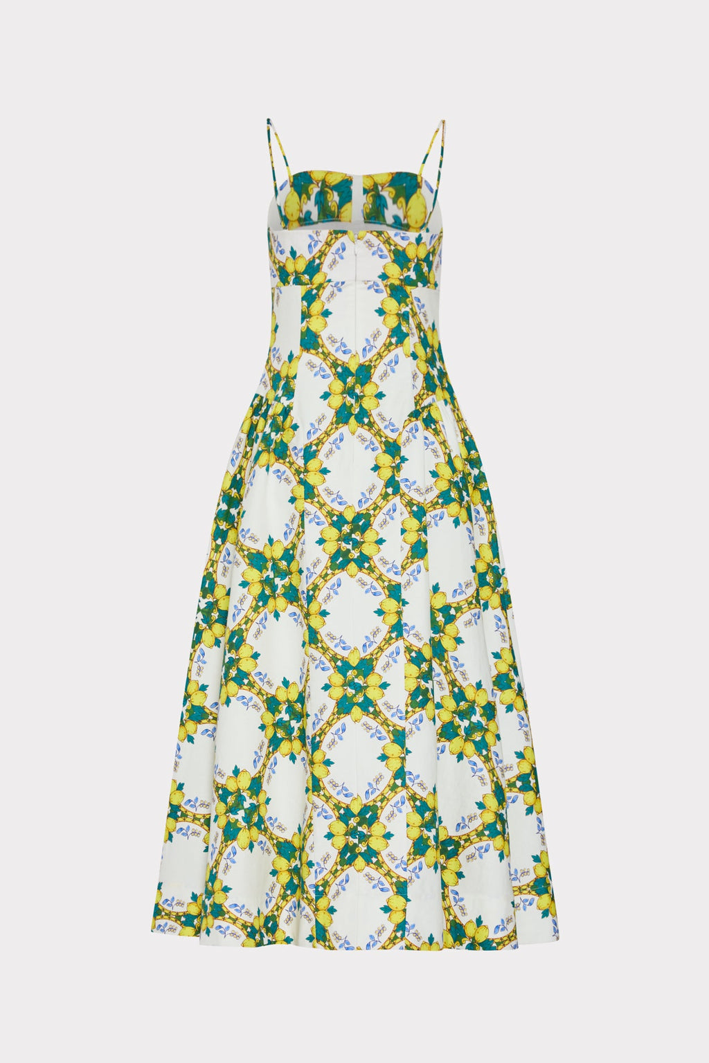 Livna Printed Maxi Dress