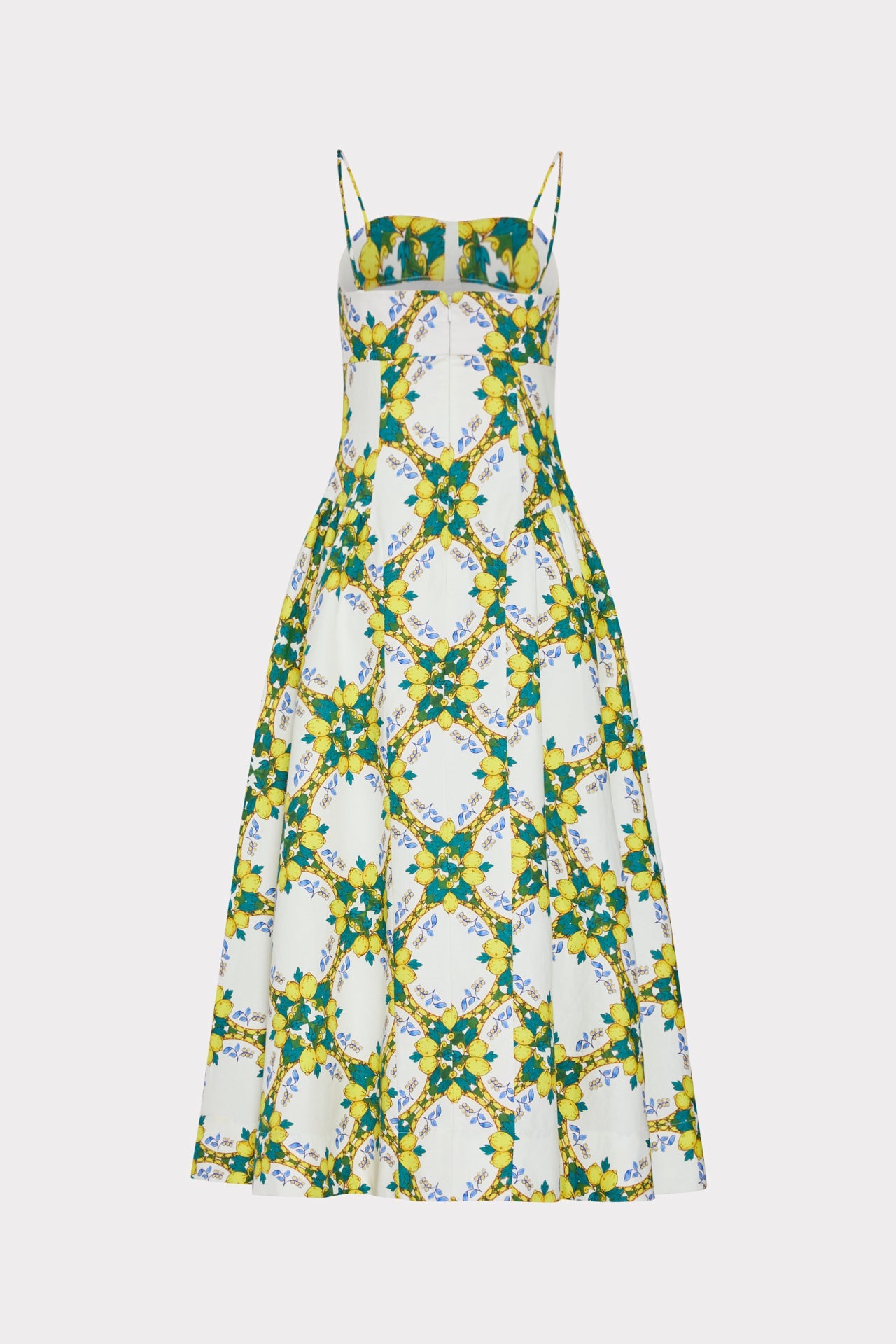 Livna Printed Maxi Dress