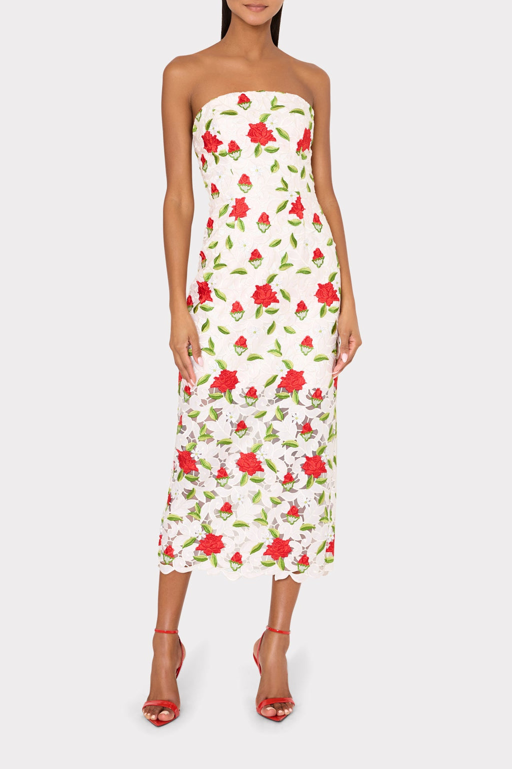 Kait Rose Embroidered Lace Dress