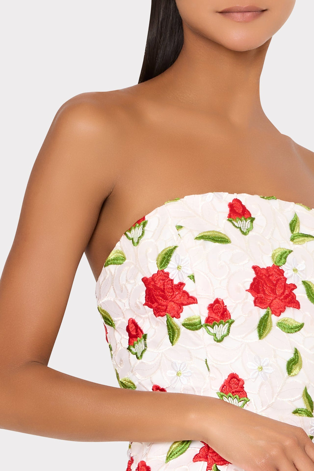 Kait Rose Embroidered Lace Dress
