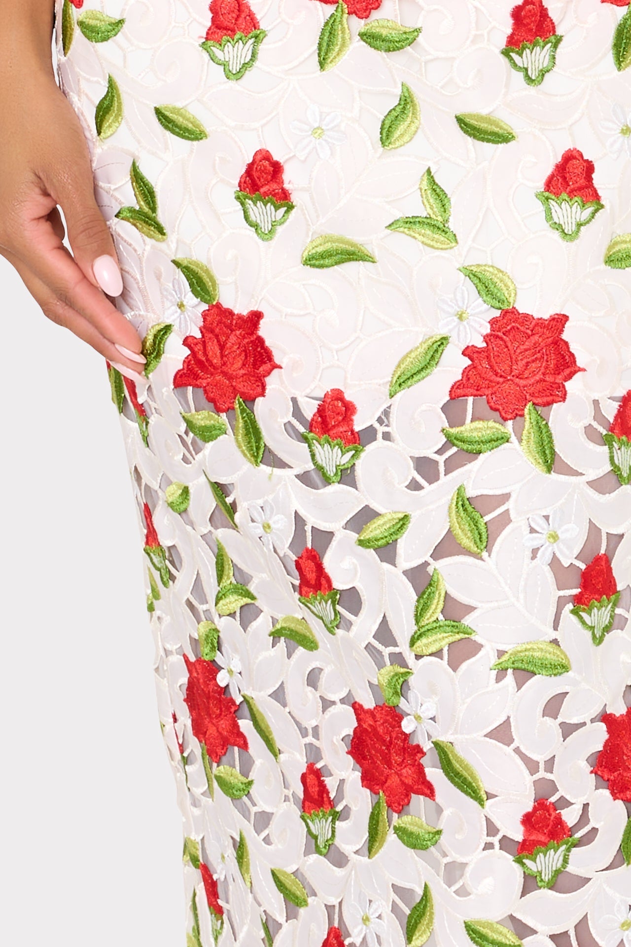 Kait Rose Embroidered Lace Dress
