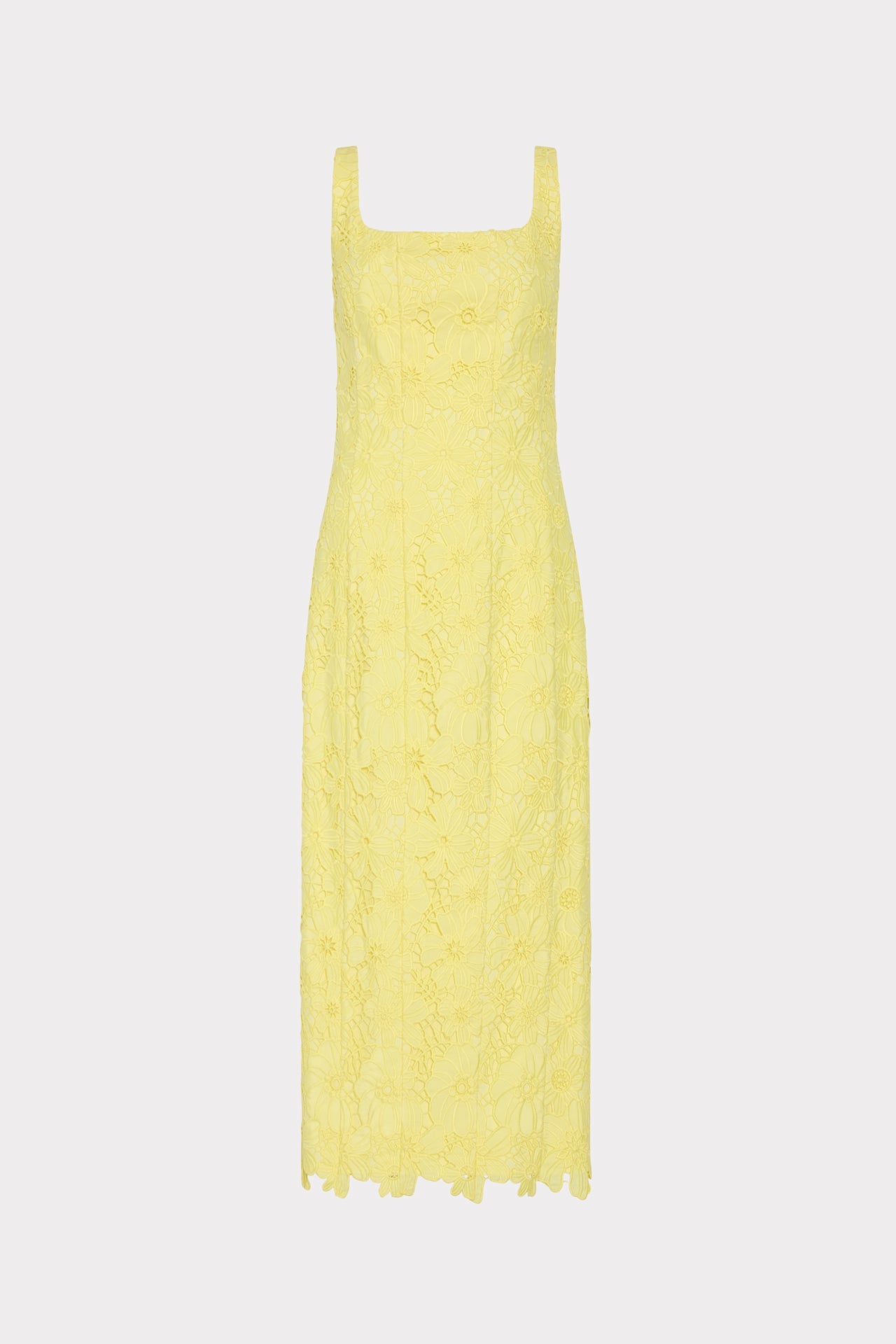 Izel Lace Midi Dress