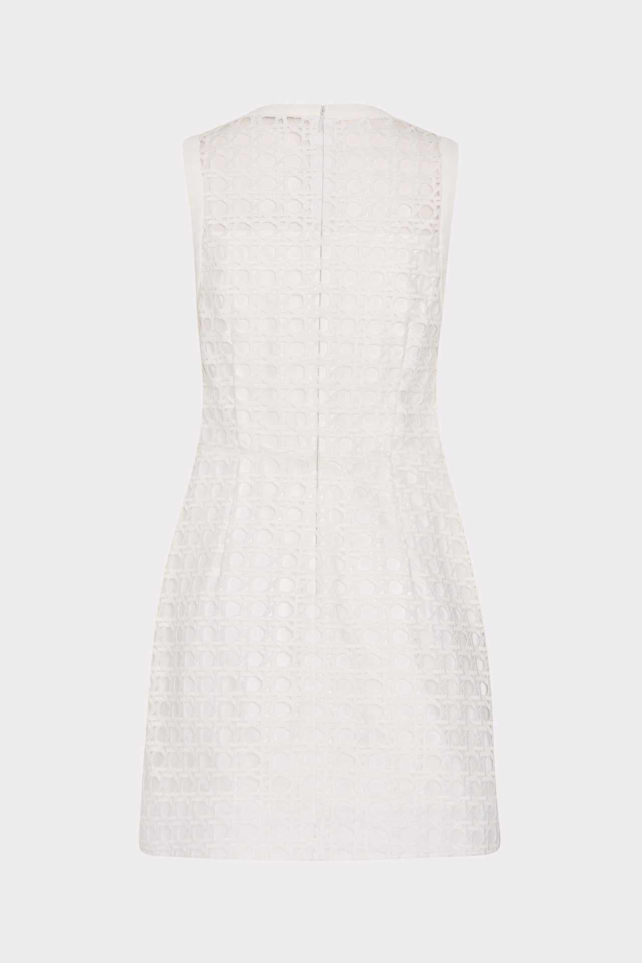 Moira Lace Mini Dress