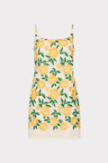 Maria Embroidered Mini Dress