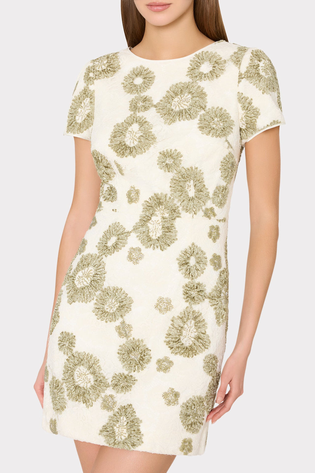 Daisy Embroidered Mini Dress