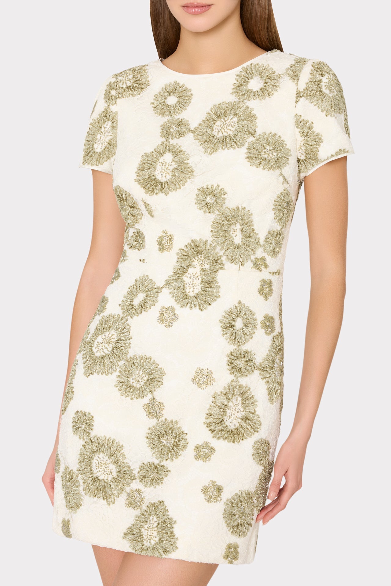 Daisy Embroidered Mini Dress