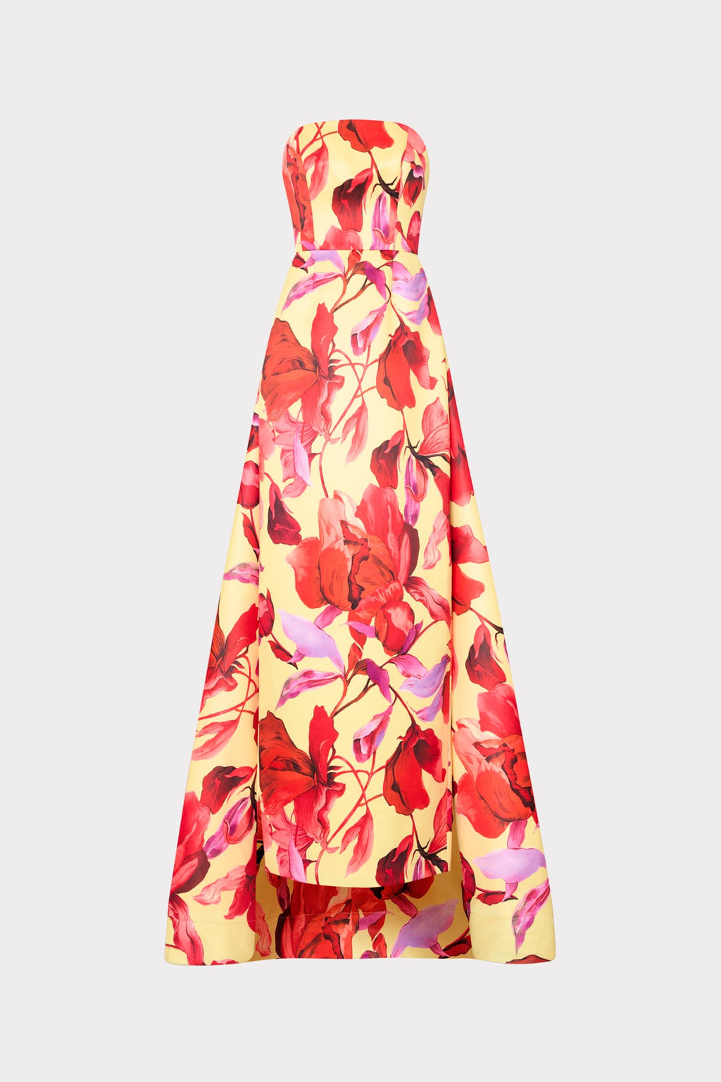 Dorothy Printed Taffeta Dress
