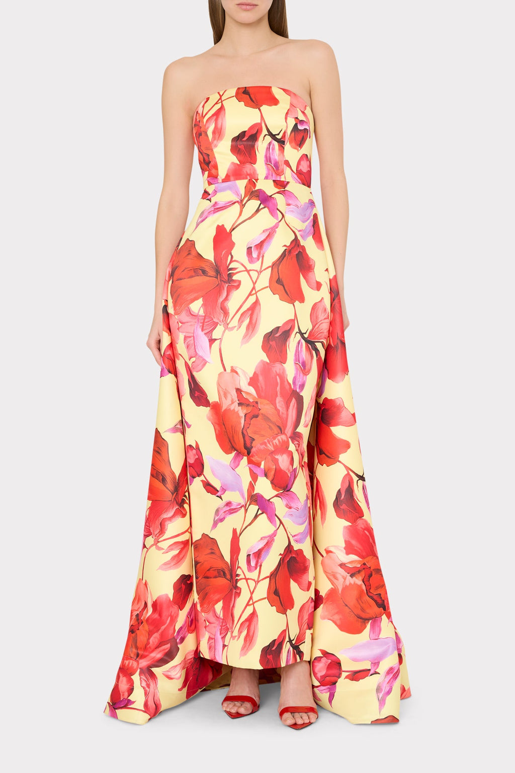 Dorothy Printed Taffeta Dress