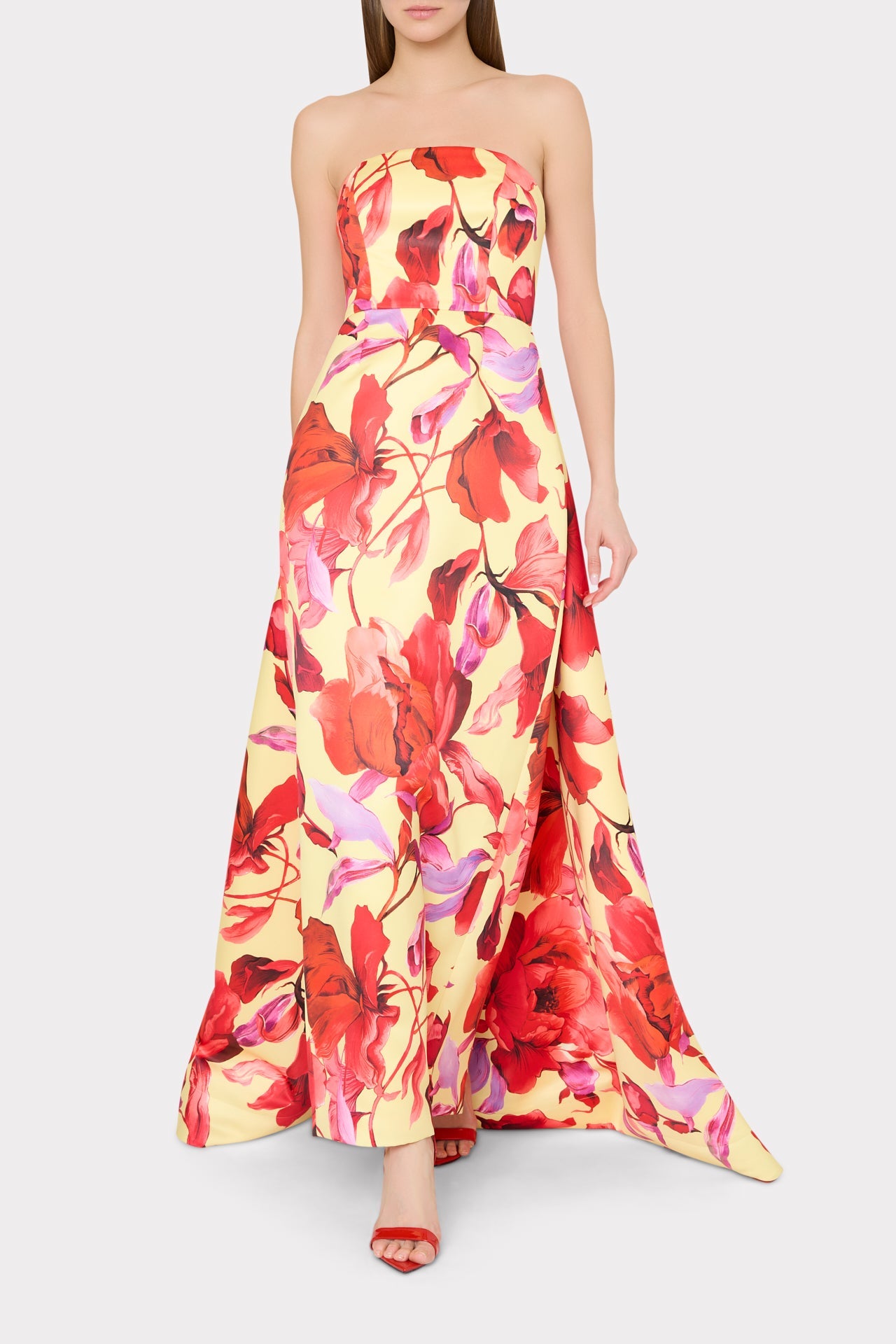 Dorothy Printed Taffeta Dress