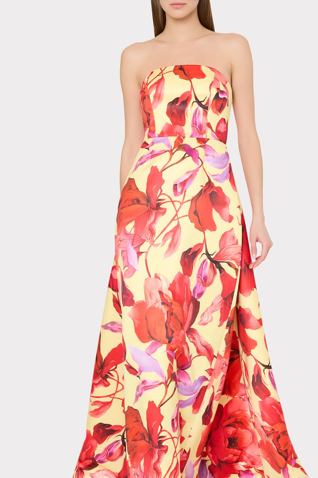 Dorothy Printed Taffeta Dress