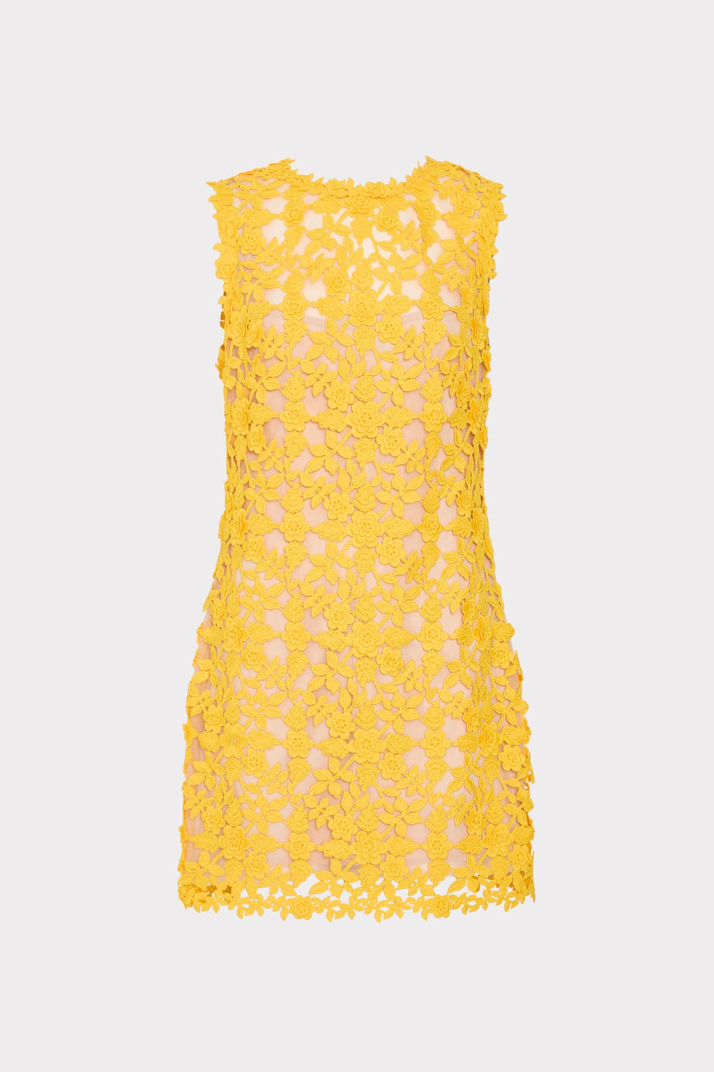 Ivette Lace Mini Dress