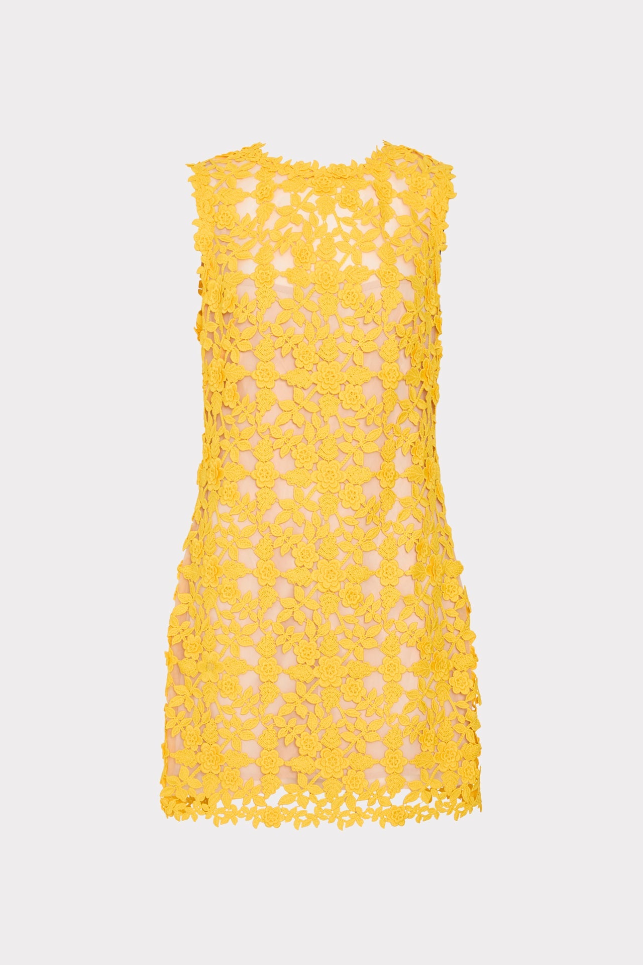 Ivette Lace Mini Dress