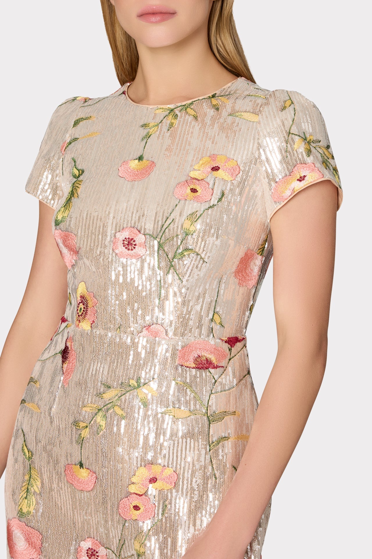 Tahlia Floral Sequins Embroidery Dress