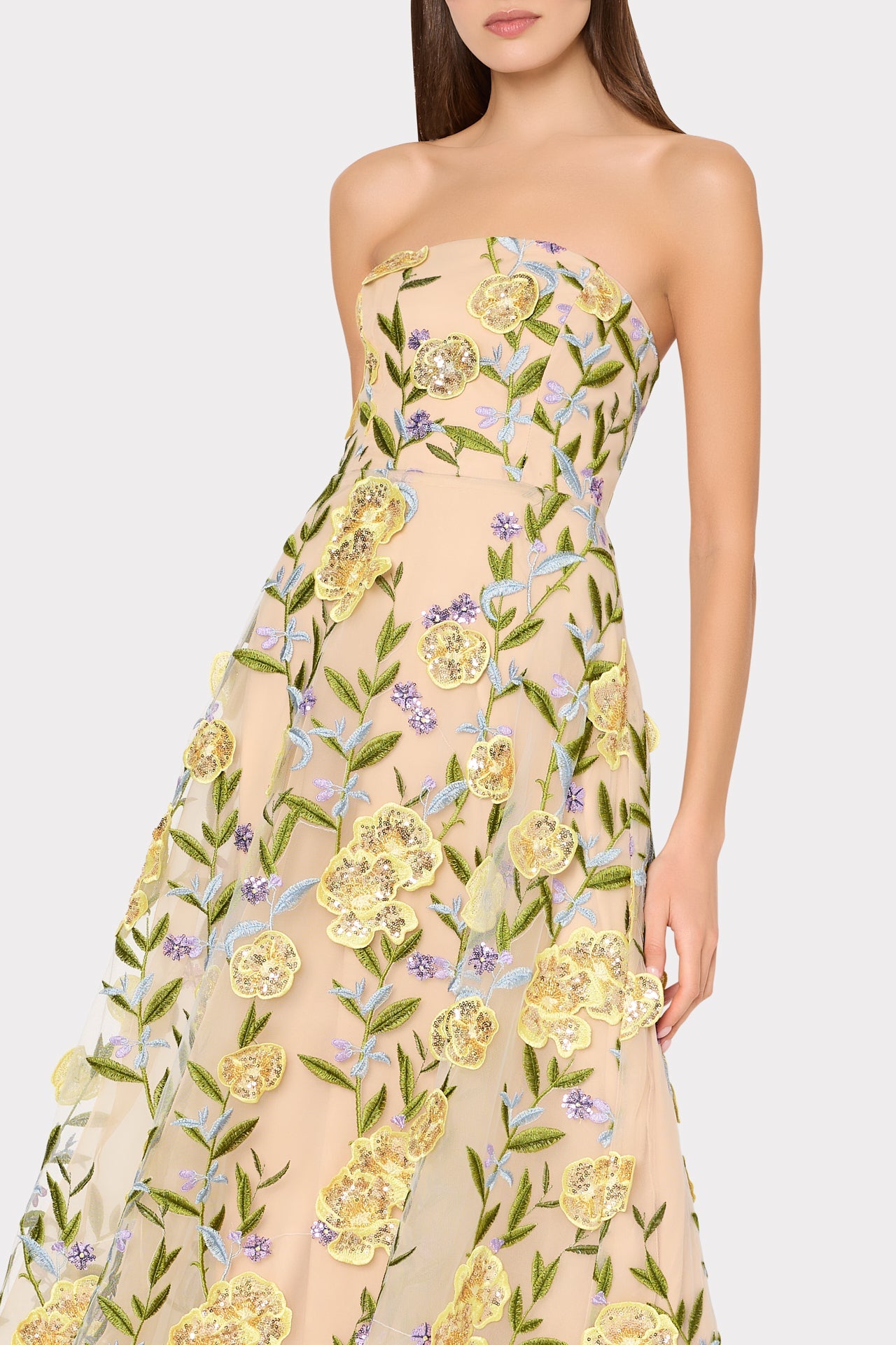Isa Embroidered Sequin Strapless Dress
