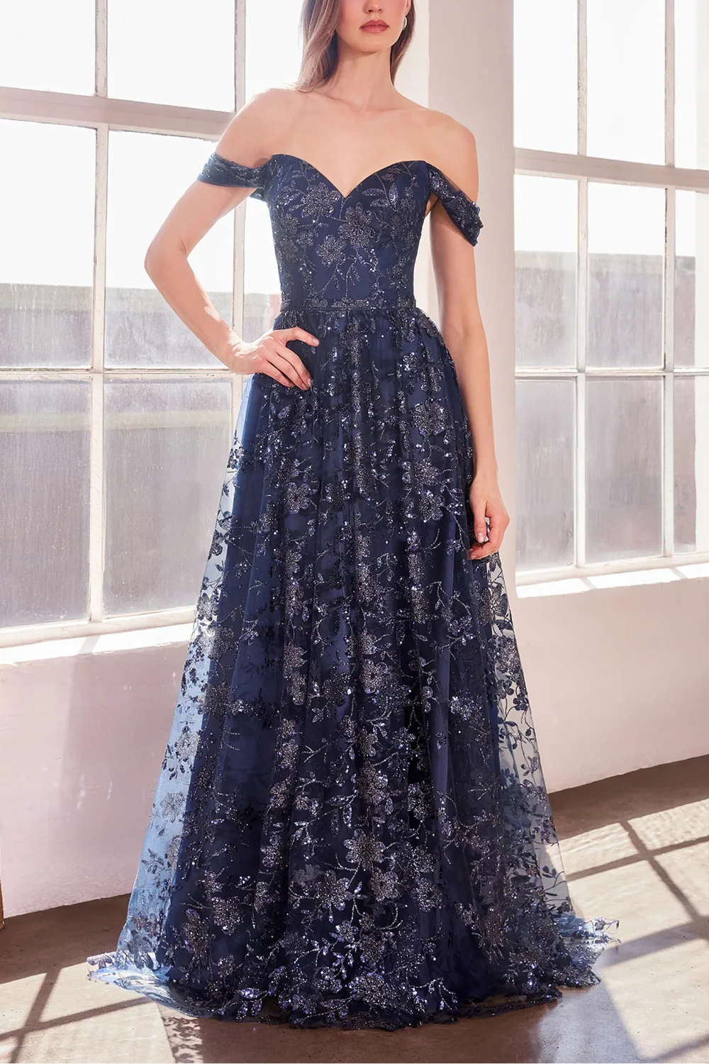 Alienor Navy | Glittery Off the Shoulder Mesh Maxi Dress