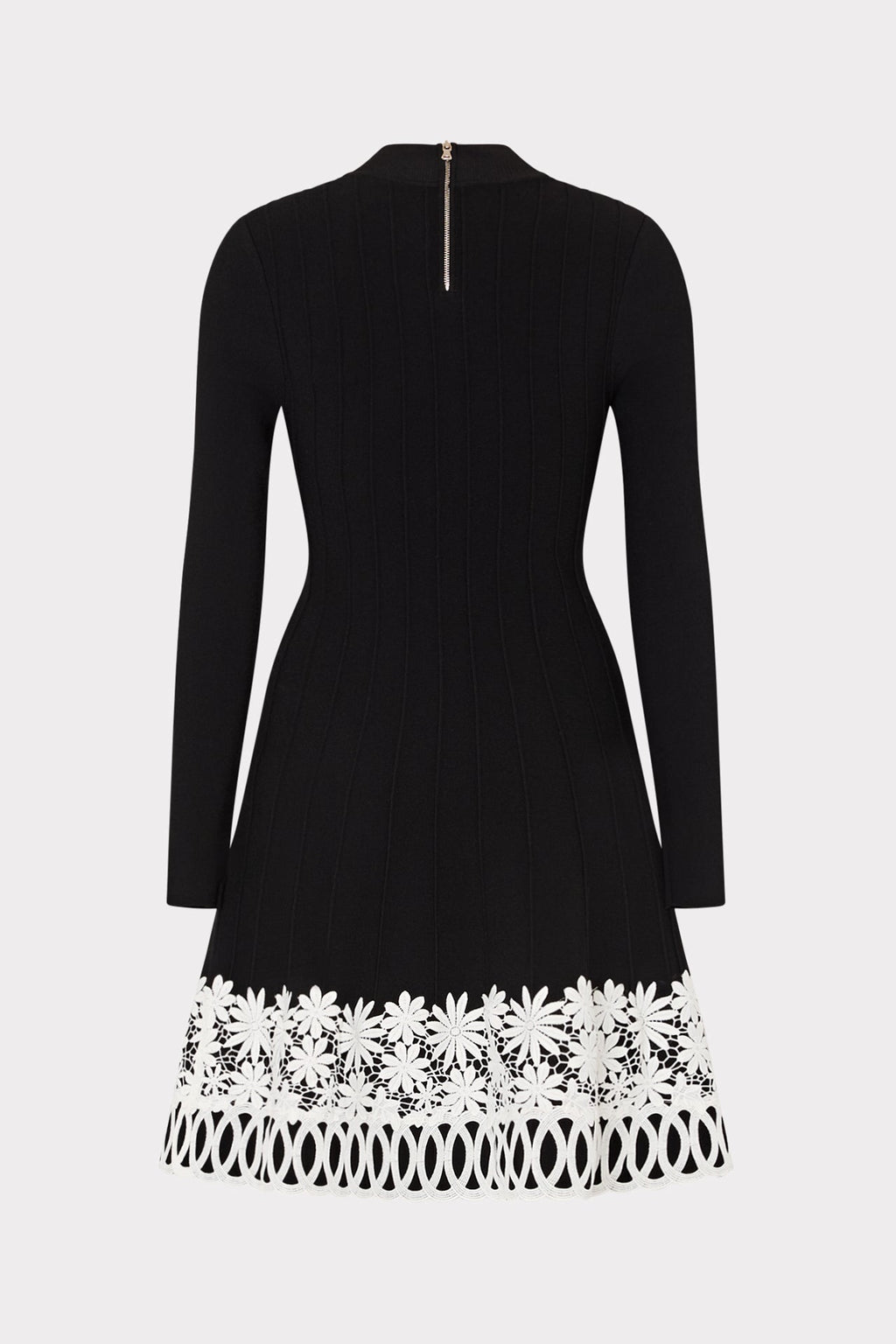 Lace Trim Fit And Flare Mini Dress
