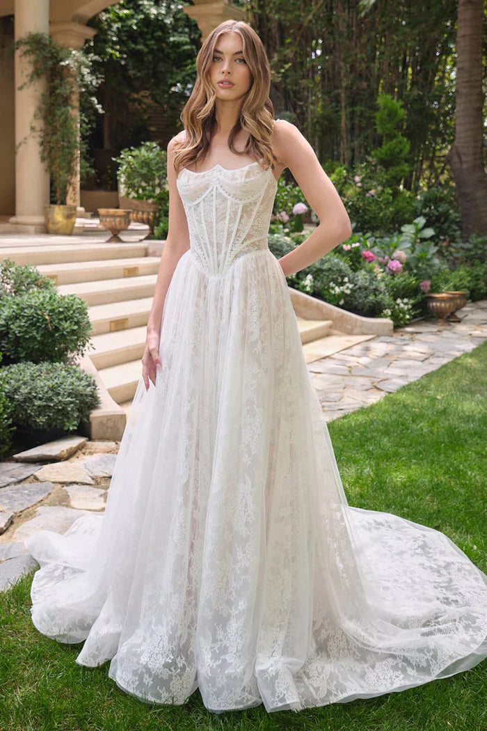 Oliva | Wedding Lace A-Line Dress with Pearls