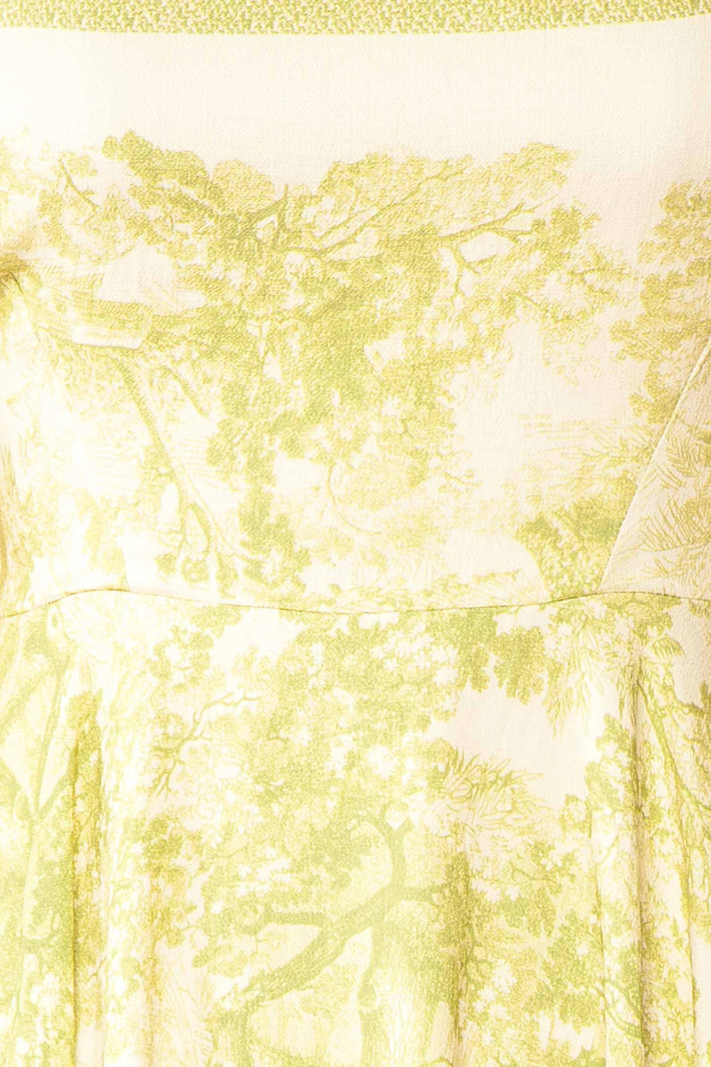 Alexie Green | Toile Border Midi Dress with Asymmetrical Hem