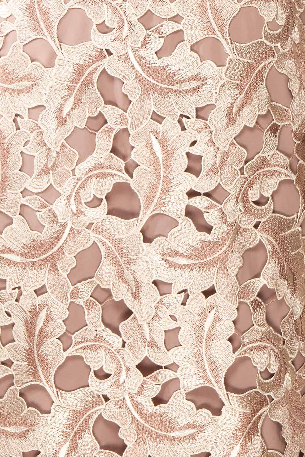 Rolande | Midi Taupe Openwork Lace Dress