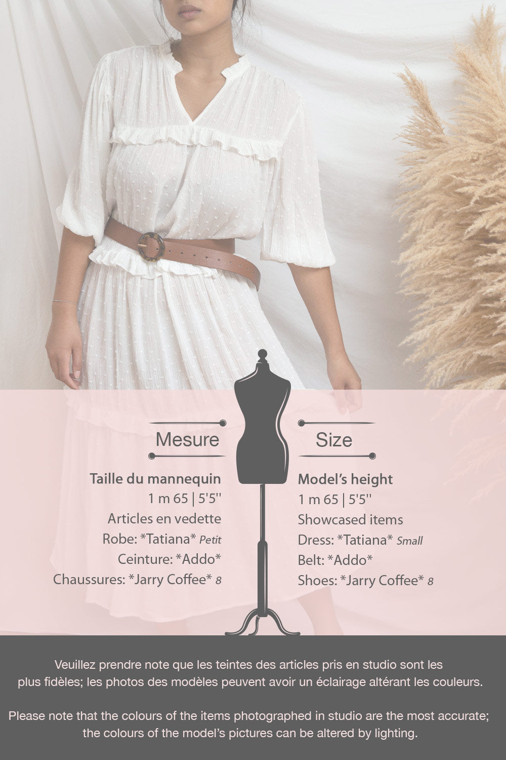 Tatiana | Long Sleeve Plumetis Dress